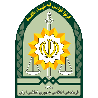 همکاران و شرکای ما